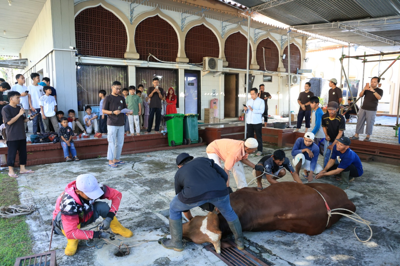 Idul Adha 1447 H Membawa Harapan, Dukungan Pertamina Patra Niaga Kilang Cilacap Menguatkan Peternak Lokal Cilacap