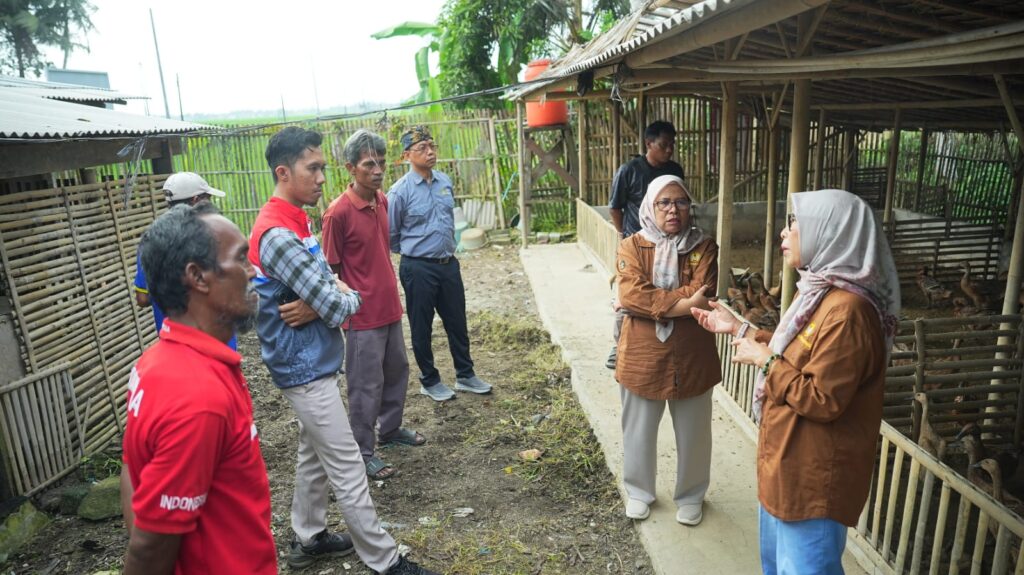 Tingkatkan Kapasitas, Pertamina Patra Niaga Kilang Cilacap Berikan Pelatihan Manajemen Pemeliharaan Itik Berbasis Good Farming Practice whatsapp image 2026 06 09 at 16.03.27